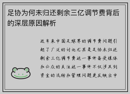 足协为何未归还剩余三亿调节费背后的深层原因解析 足协为何未归还剩余三亿调节费背后的深层原因解析
