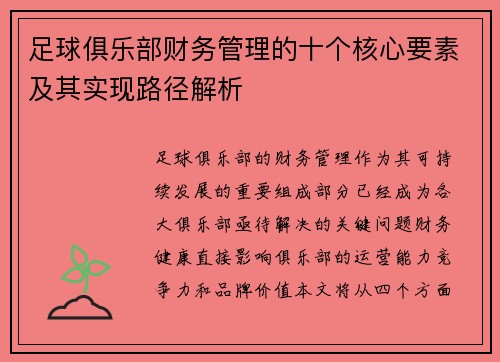 足球俱乐部财务管理的十个核心要素及其实现路径解析 足球俱乐部财务管理的十个核心要素及其实现路径解析